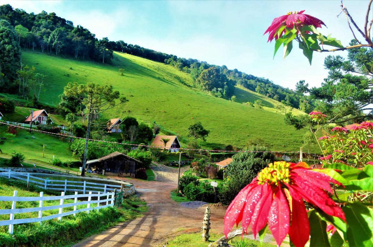 Chales Fazenda Vale Da Mata 蒙特韦尔迪 外观 照片